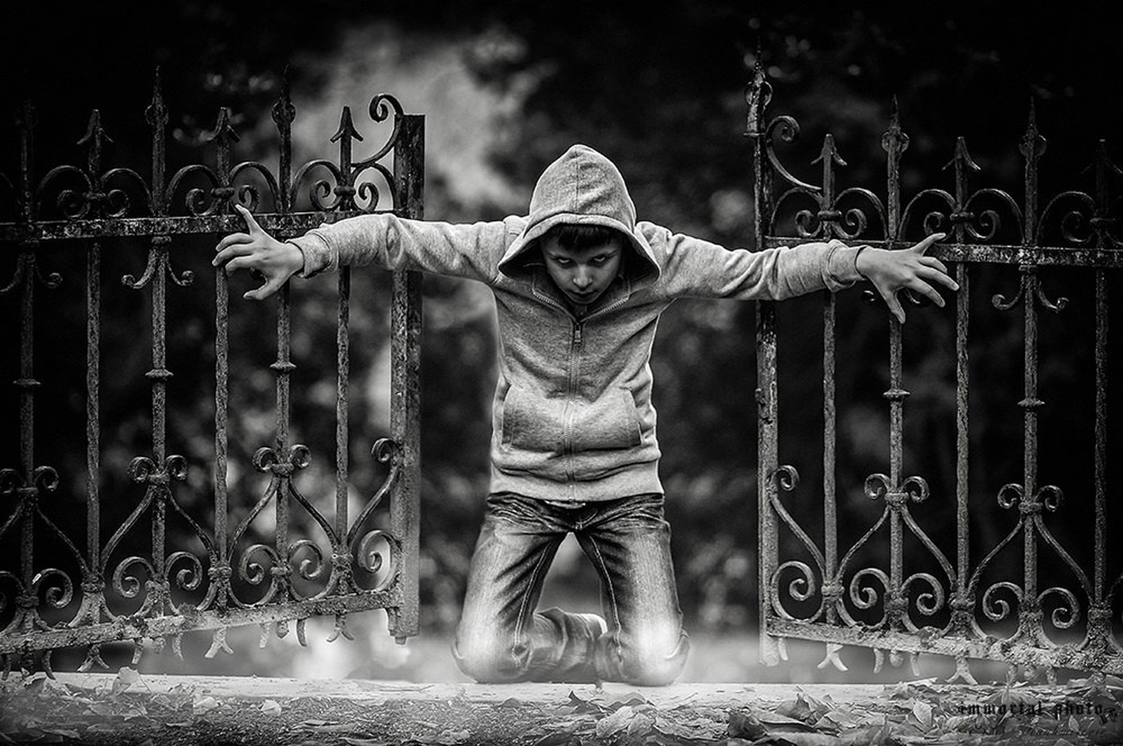 The gate to... by Elvis Karahmetovič