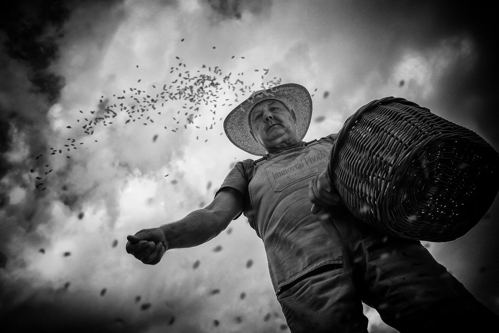 Seeder by Elvis Karahmetovič