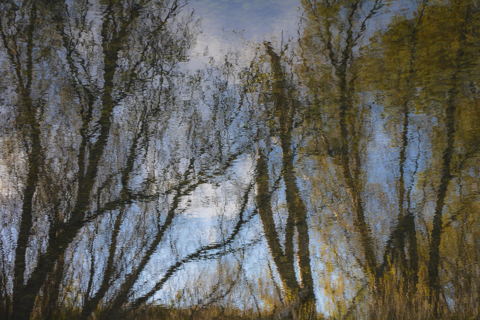 Refleksija by Jolanda Lesnik