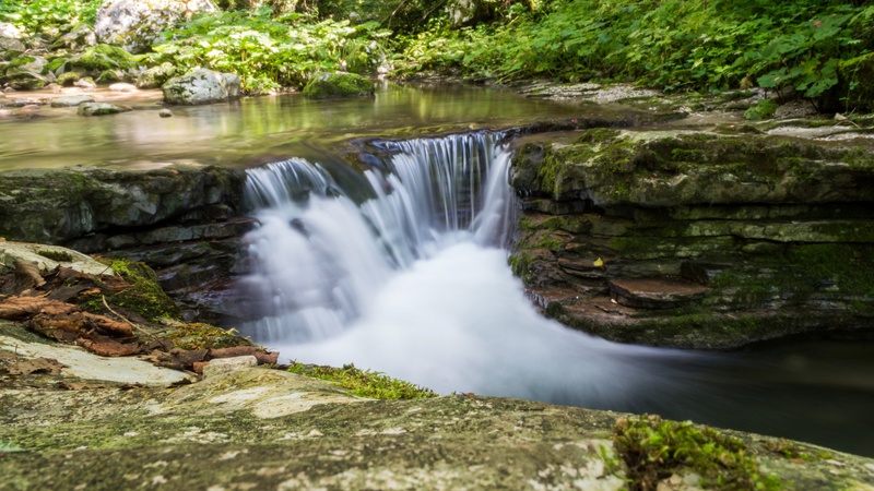 The little one by Aleksej Cegner