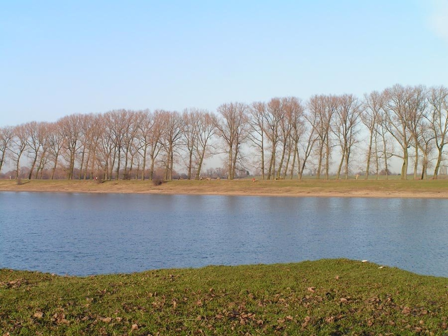 Mirno decembrsko popoldne na NL by