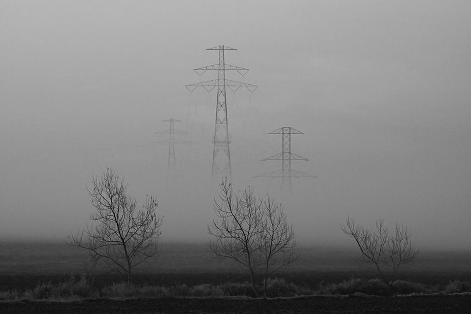 Equilibrium by Marek