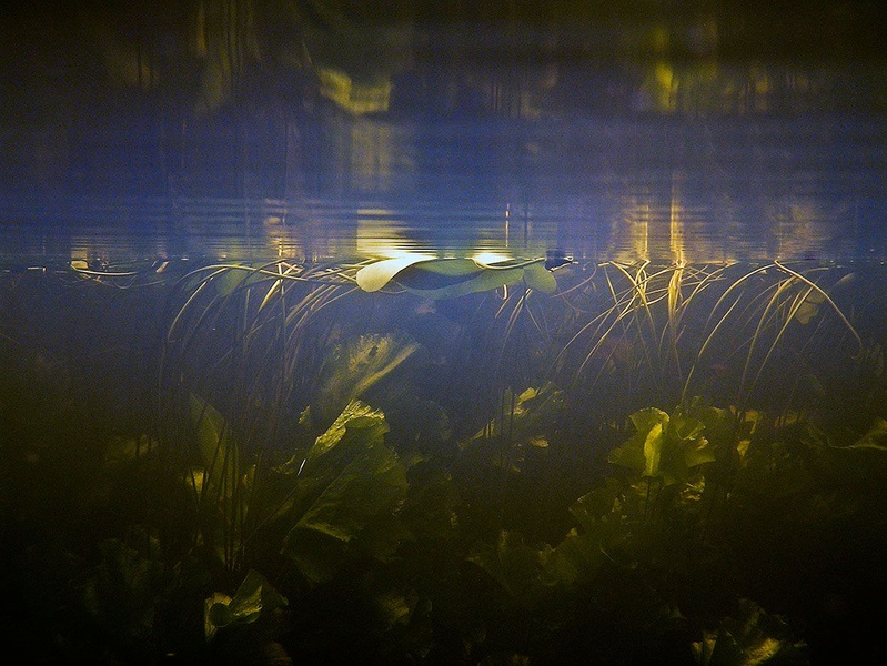 cerkniško jezero by nata45