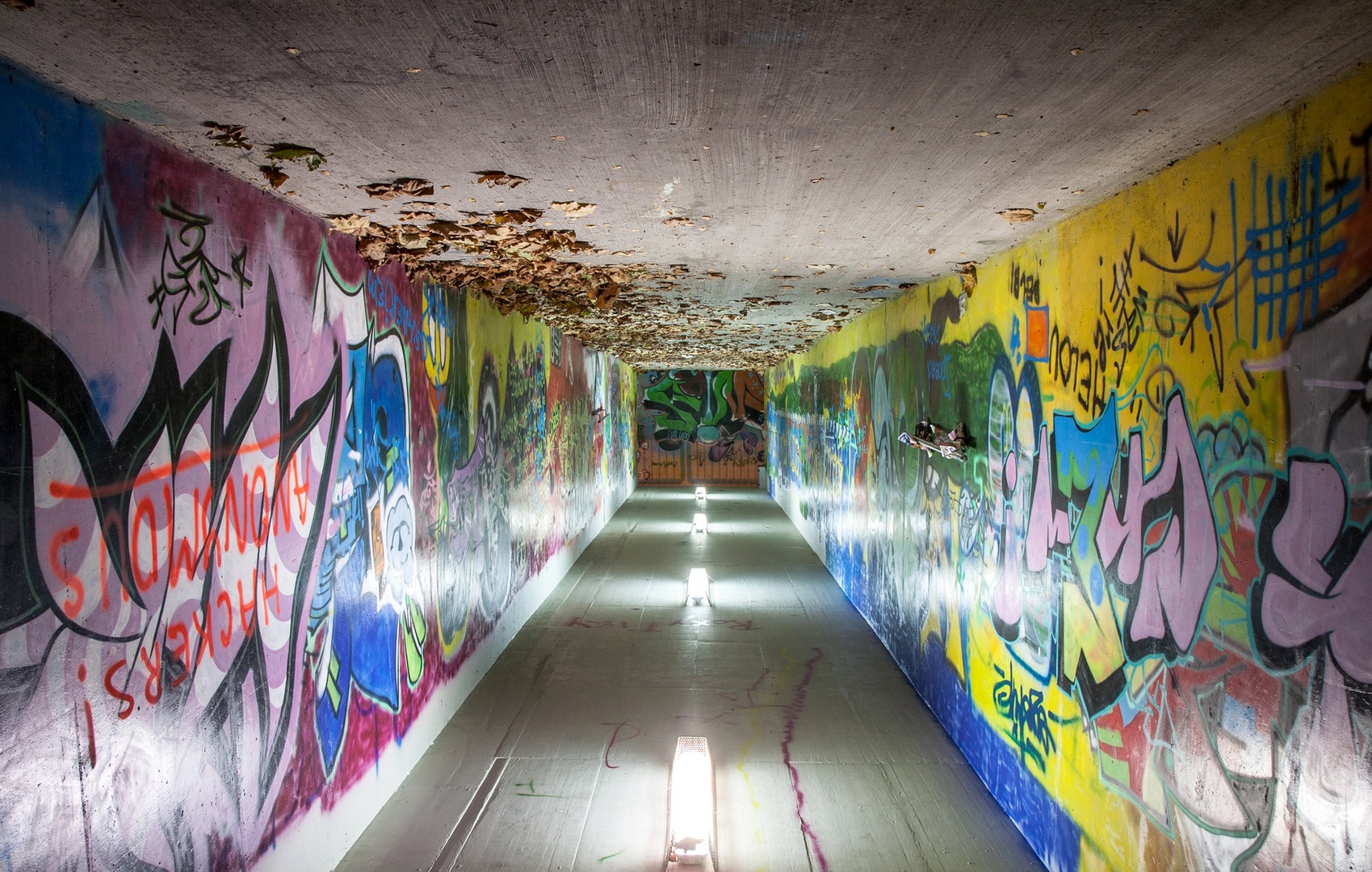 Upside down by Gal Pavlin