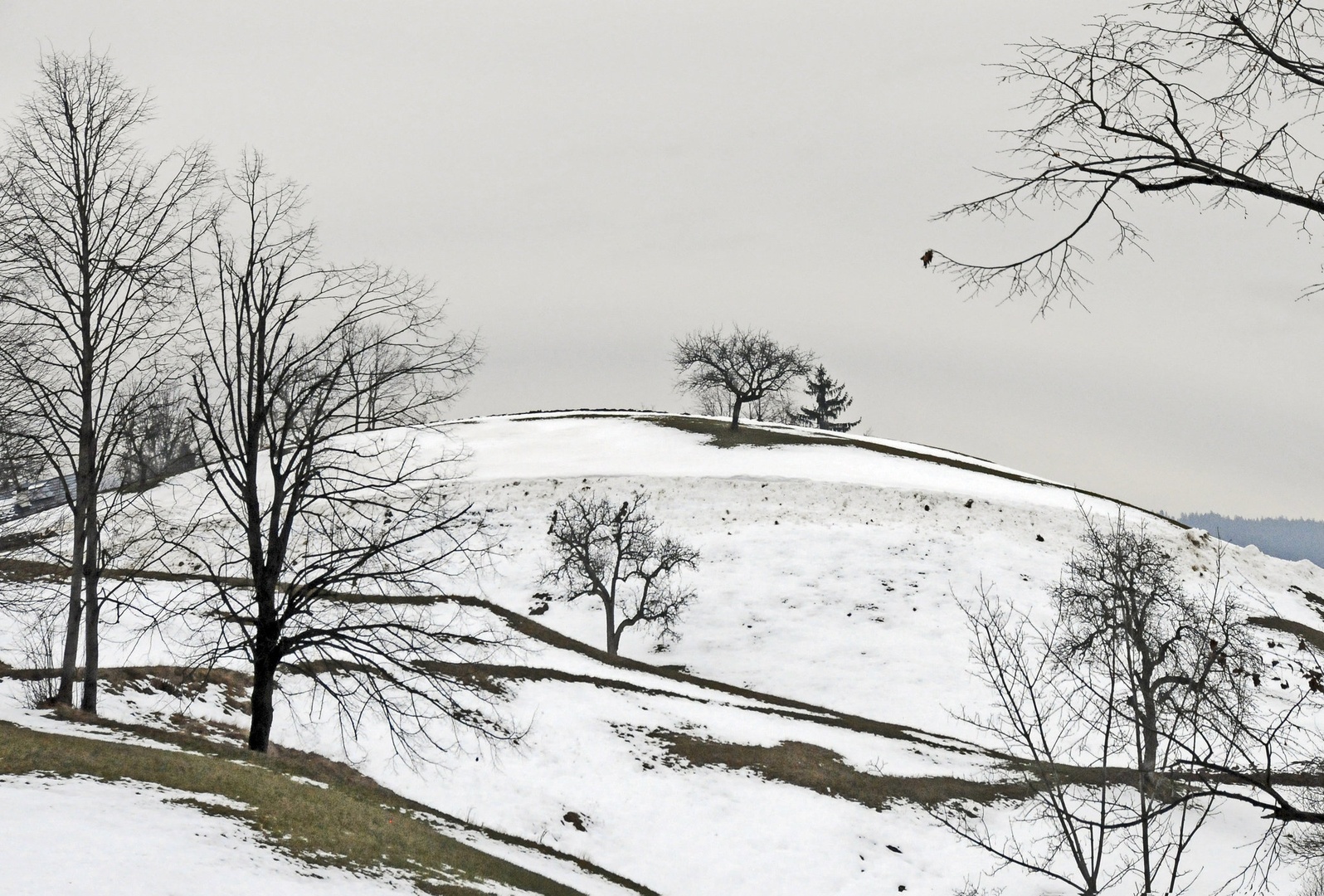 Okrogel črno bel svet II by Gordana Grlic