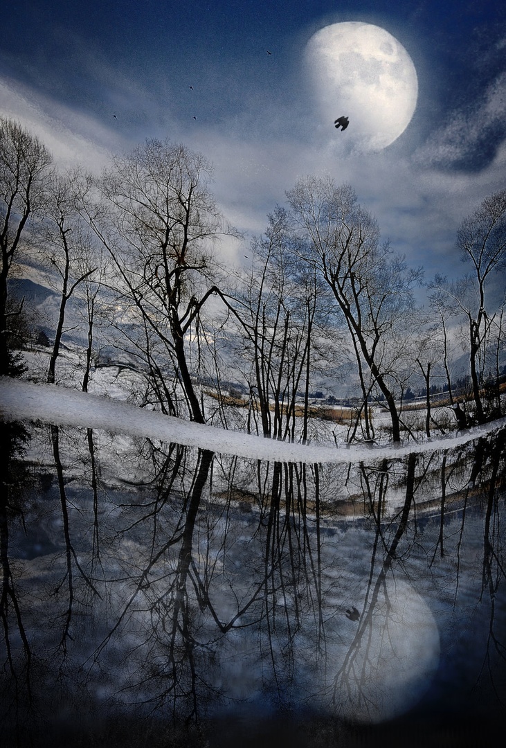 Digital blue wave by Gordana Grlic