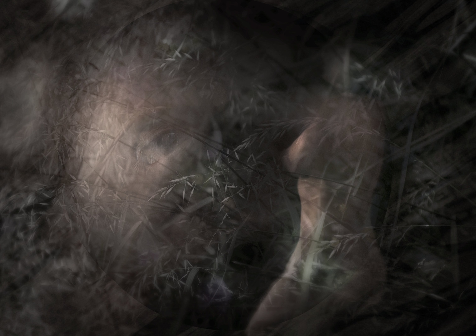 Meet Your Spirit Guide by Gordana Grlic