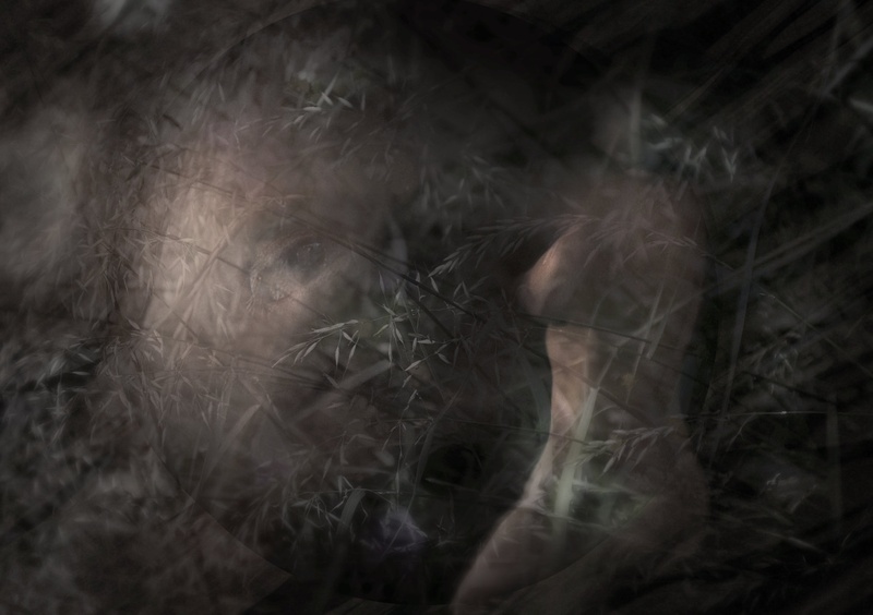 Meet Your Spirit Guide by Gordana Grlic
