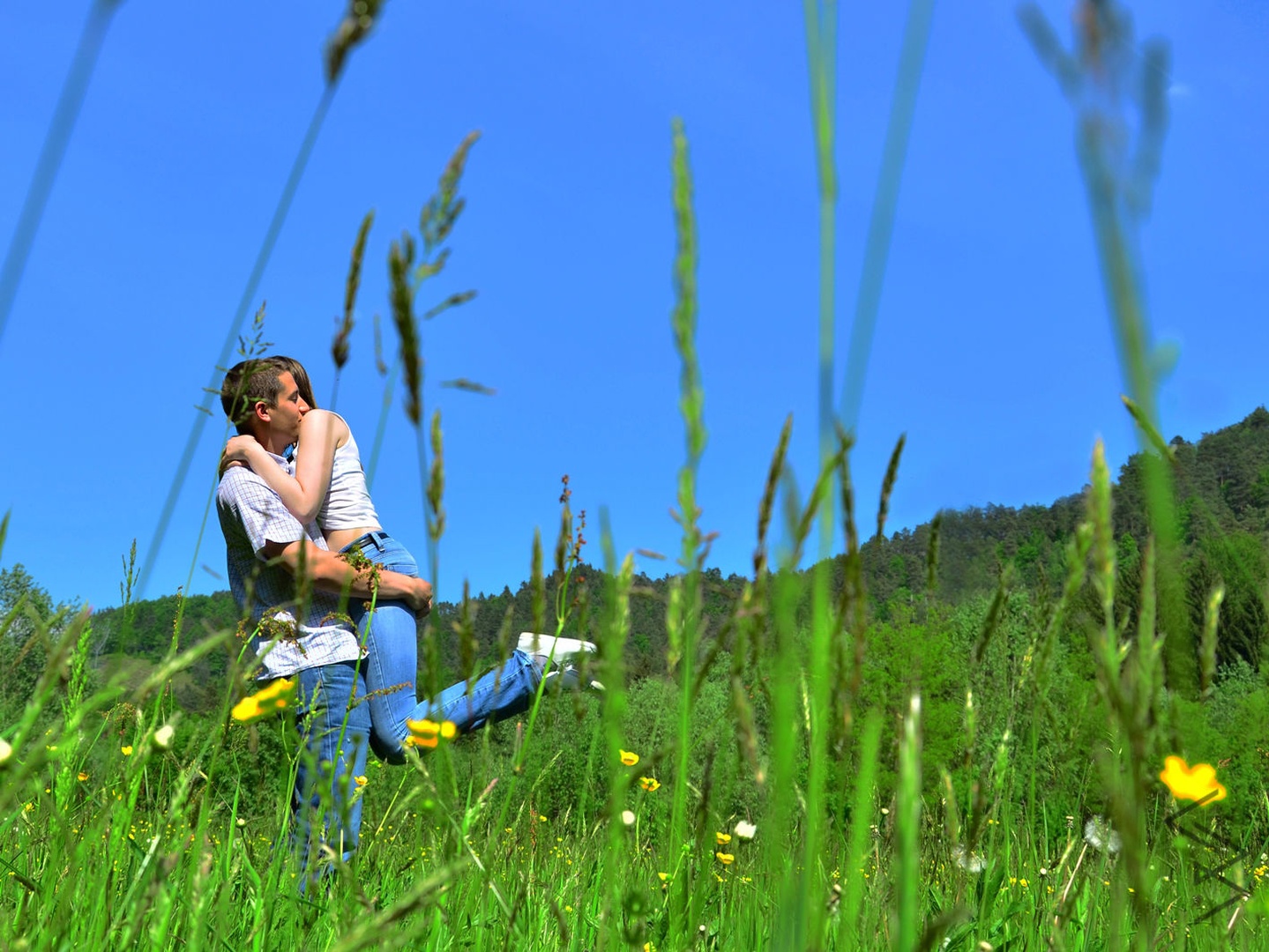 spring awakening by Bernarda C.