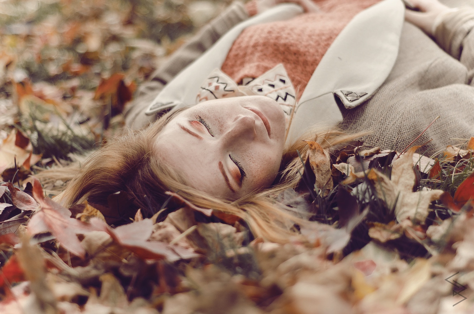 autumn harmony by Bernarda C.
