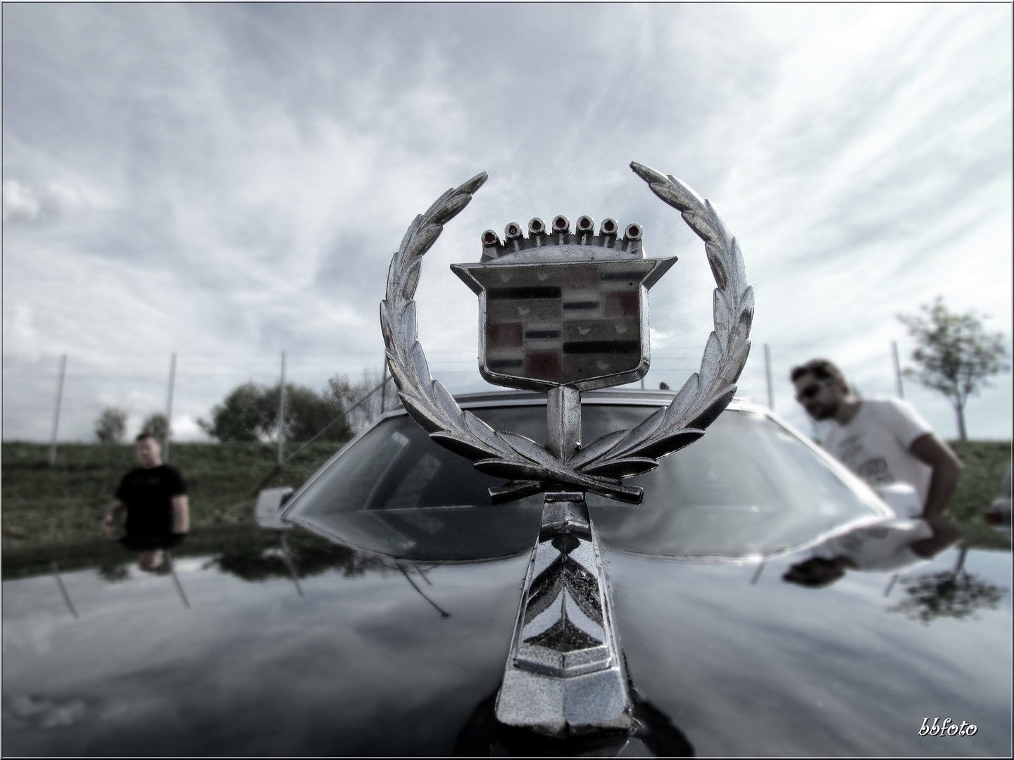 emblem cars by bojan bučar