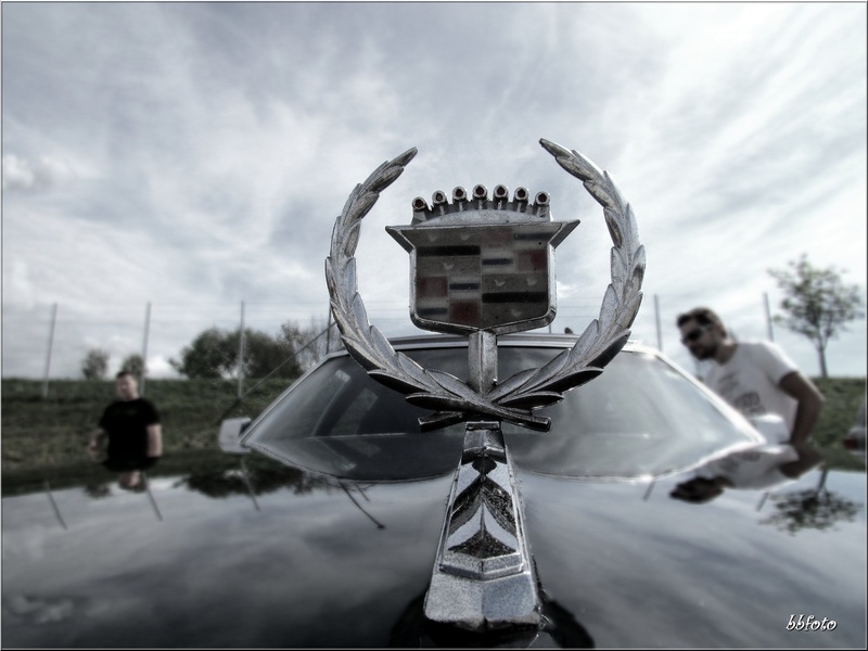 emblem cars by bojan bučar