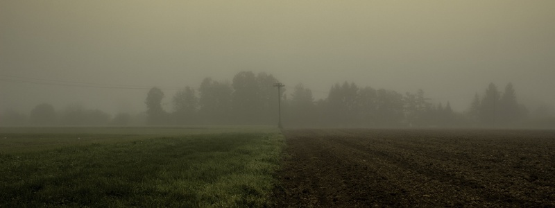 Megleno jutro by Georg Fugina