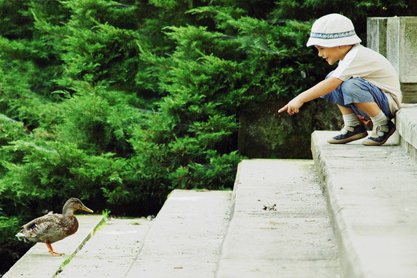 Glej, tam je raček by Aleš Gjerkeš