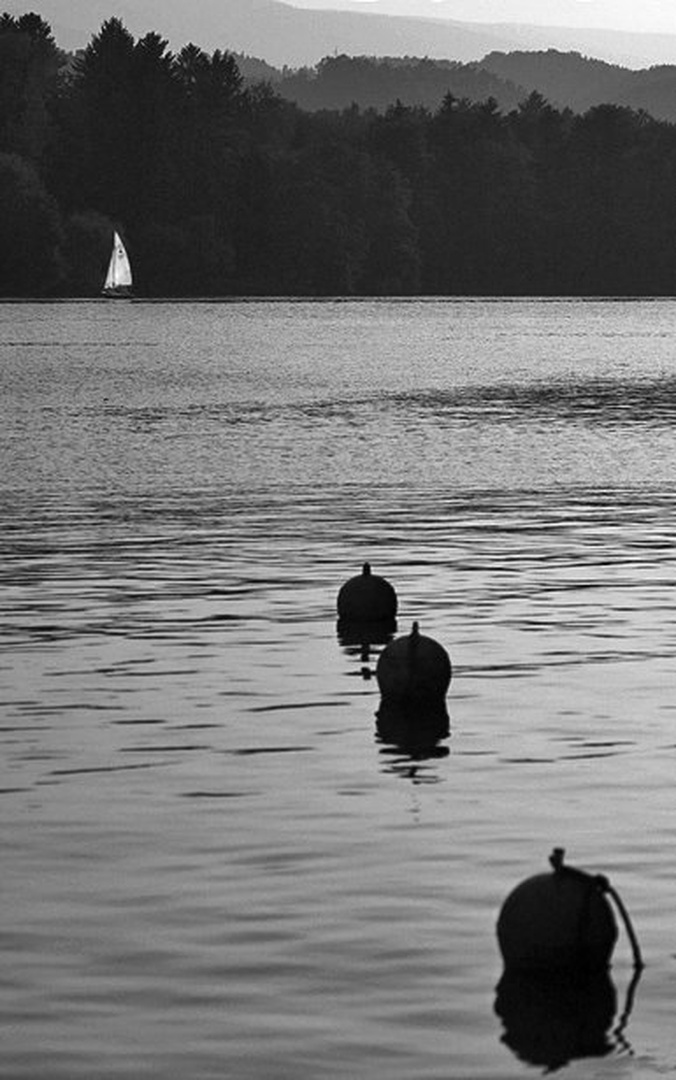297 by Aleš Gjerkeš