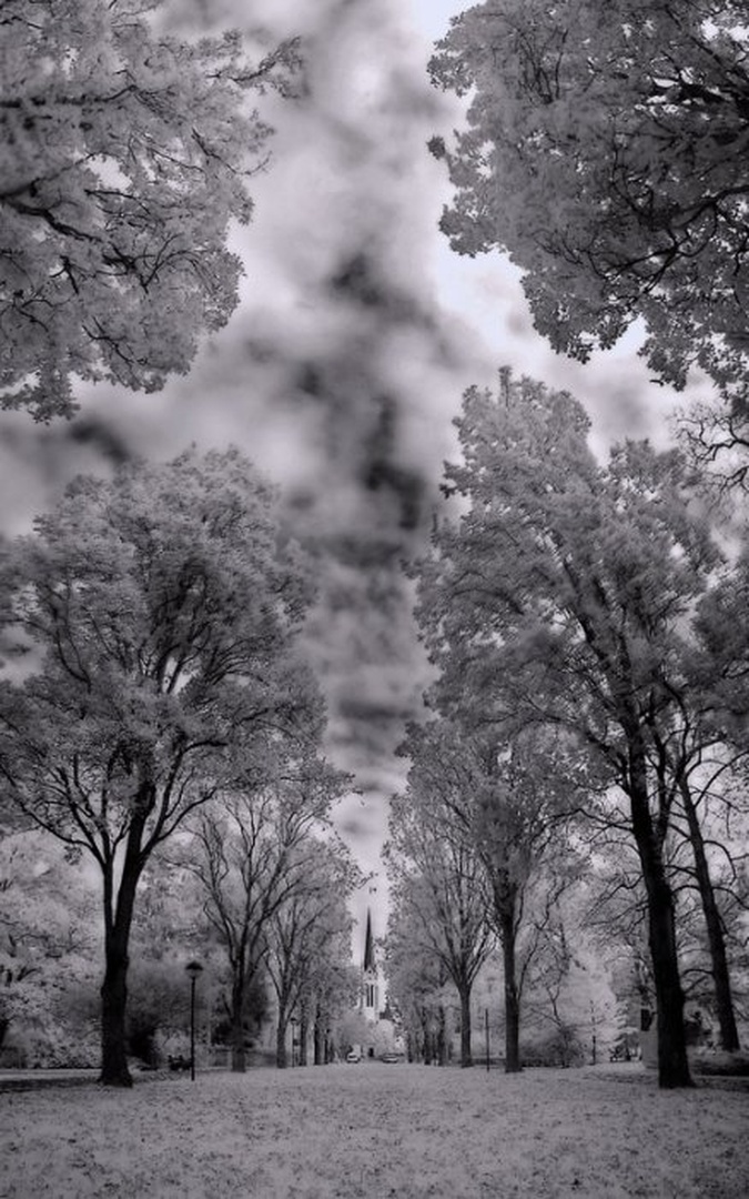 Park by Aleš Gjerkeš