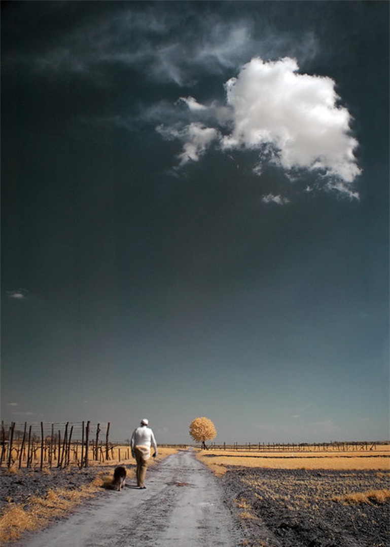 Take a walk by Aleš Gjerkeš