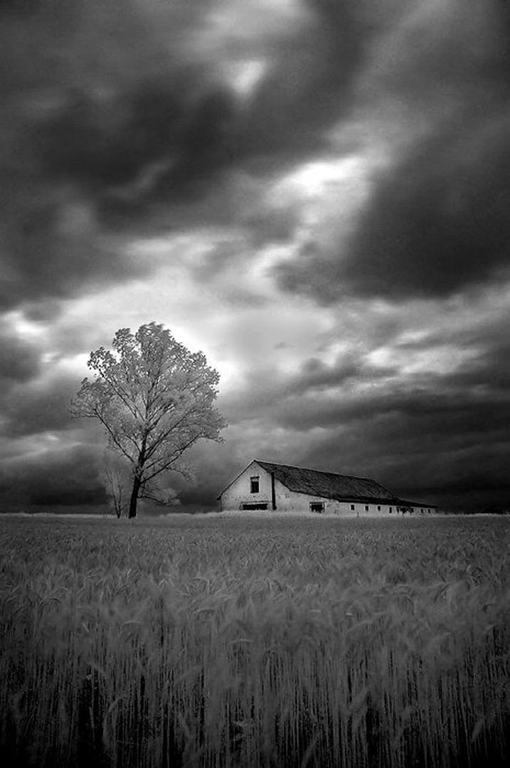 Farm by Aleš Gjerkeš