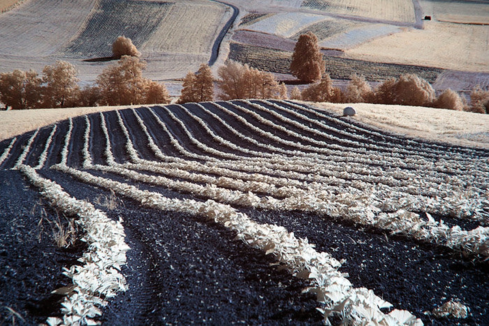 Vijuge do krpic by Aleš Gjerkeš