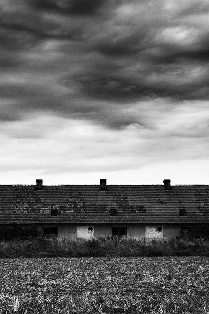 ,,;,,;,,;,, by Aleš Gjerkeš