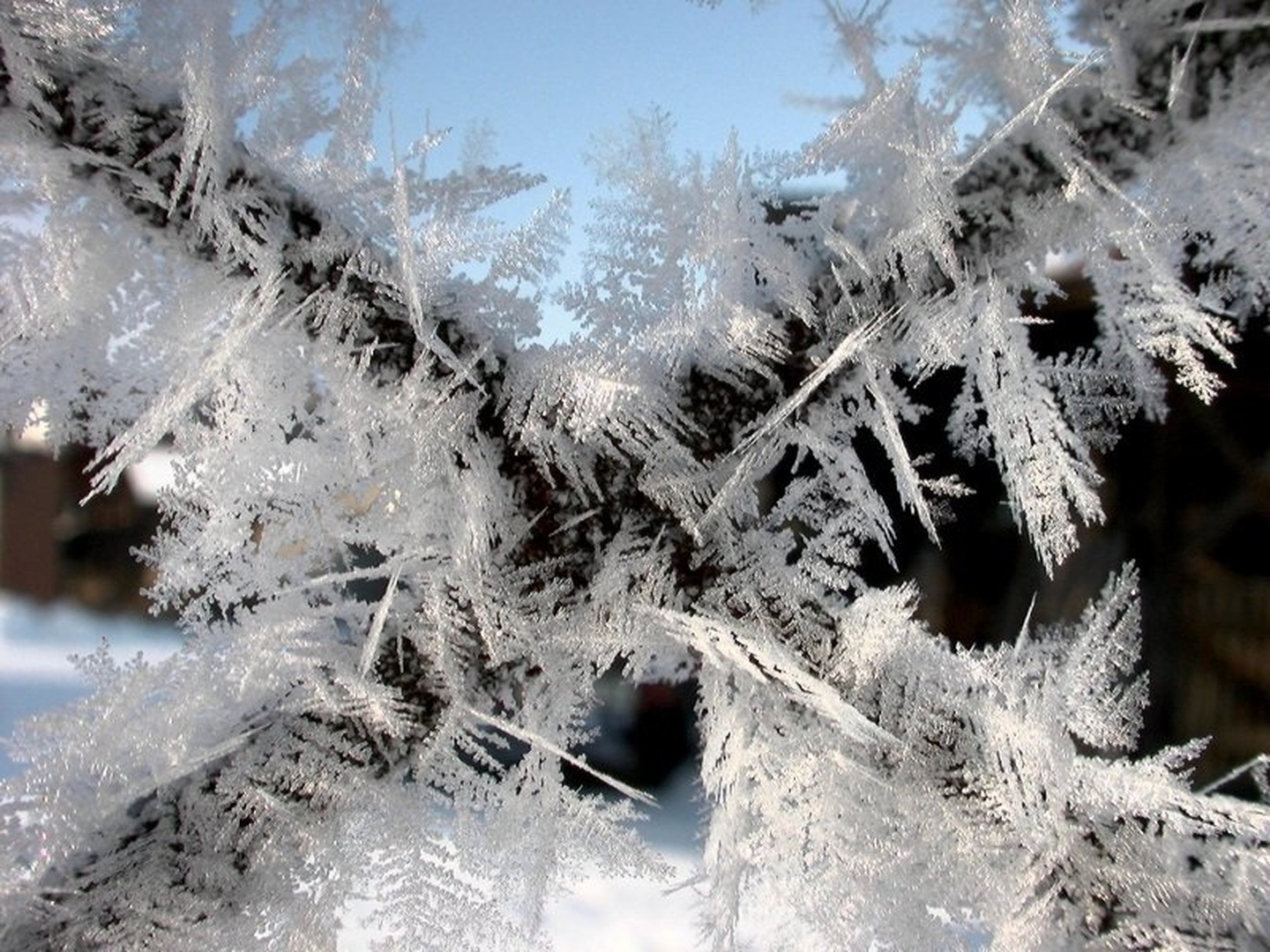 X - ice by Aleš Gjerkeš