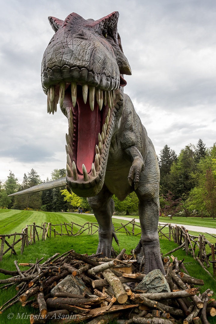 Jurassic Park by Miroslav Ašanin