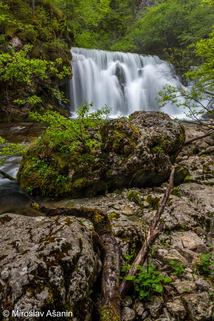 izvir bohinjske bistrice by Miroslav Ašanin