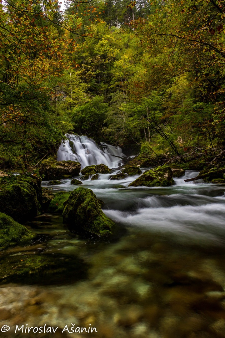 izvir bohinjske bistrice by Miroslav Ašanin