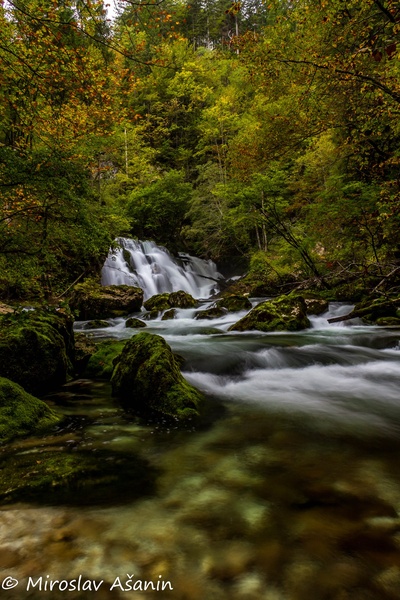 izvir bohinjske bistrice by Miroslav Ašanin