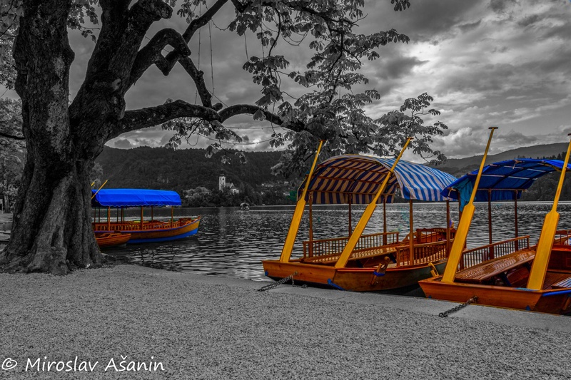 Bled malo drugače by Miroslav Ašanin