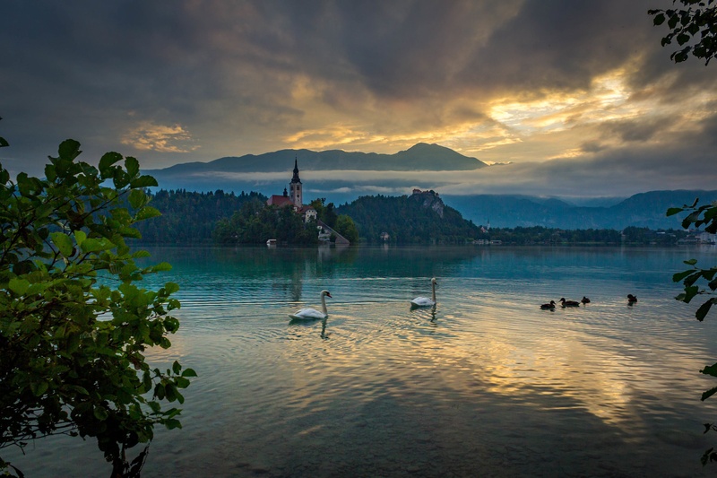 Prečudoviti Bled by Miroslav Ašanin