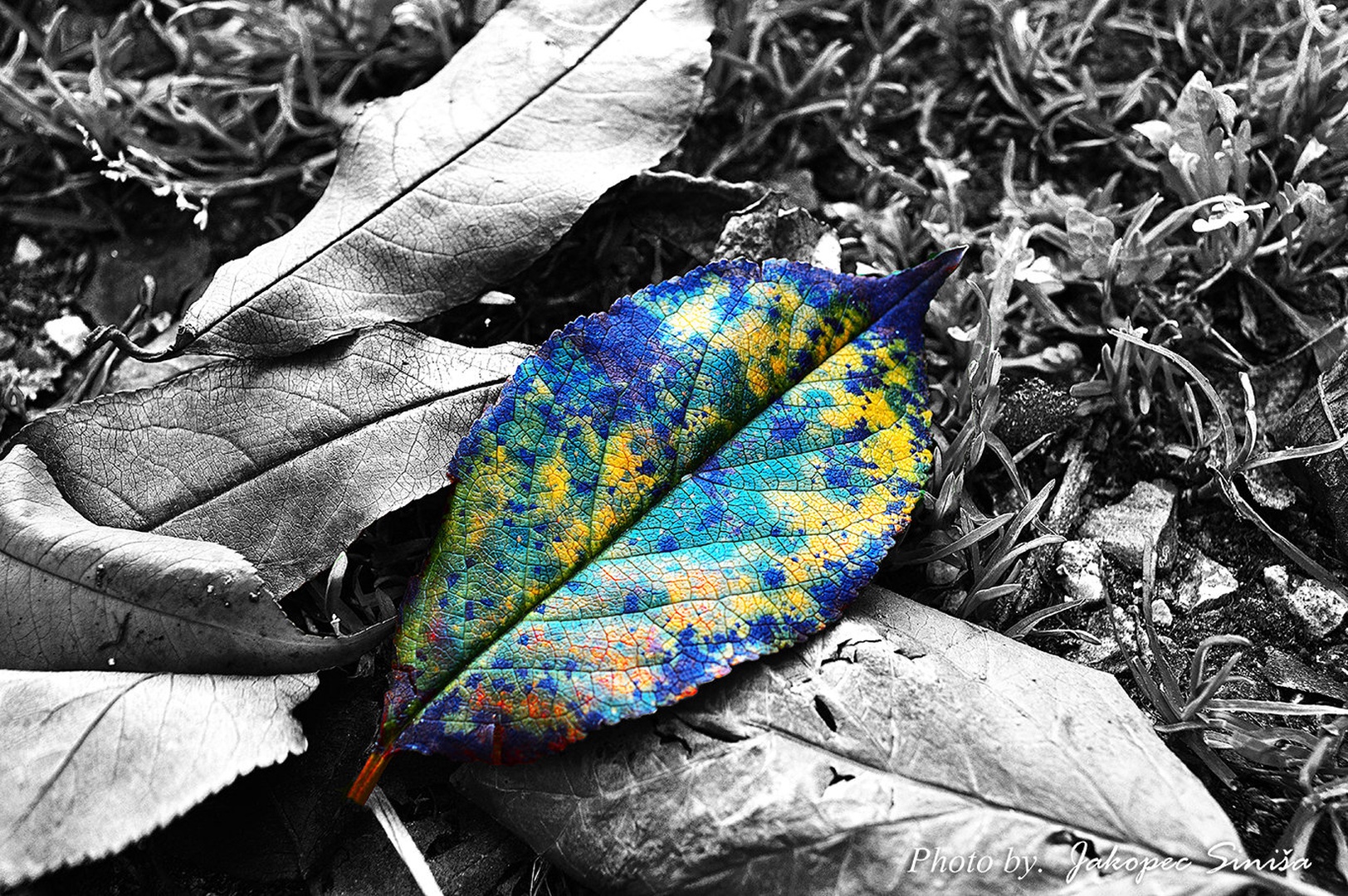 I'm different by Siniša Jakopec