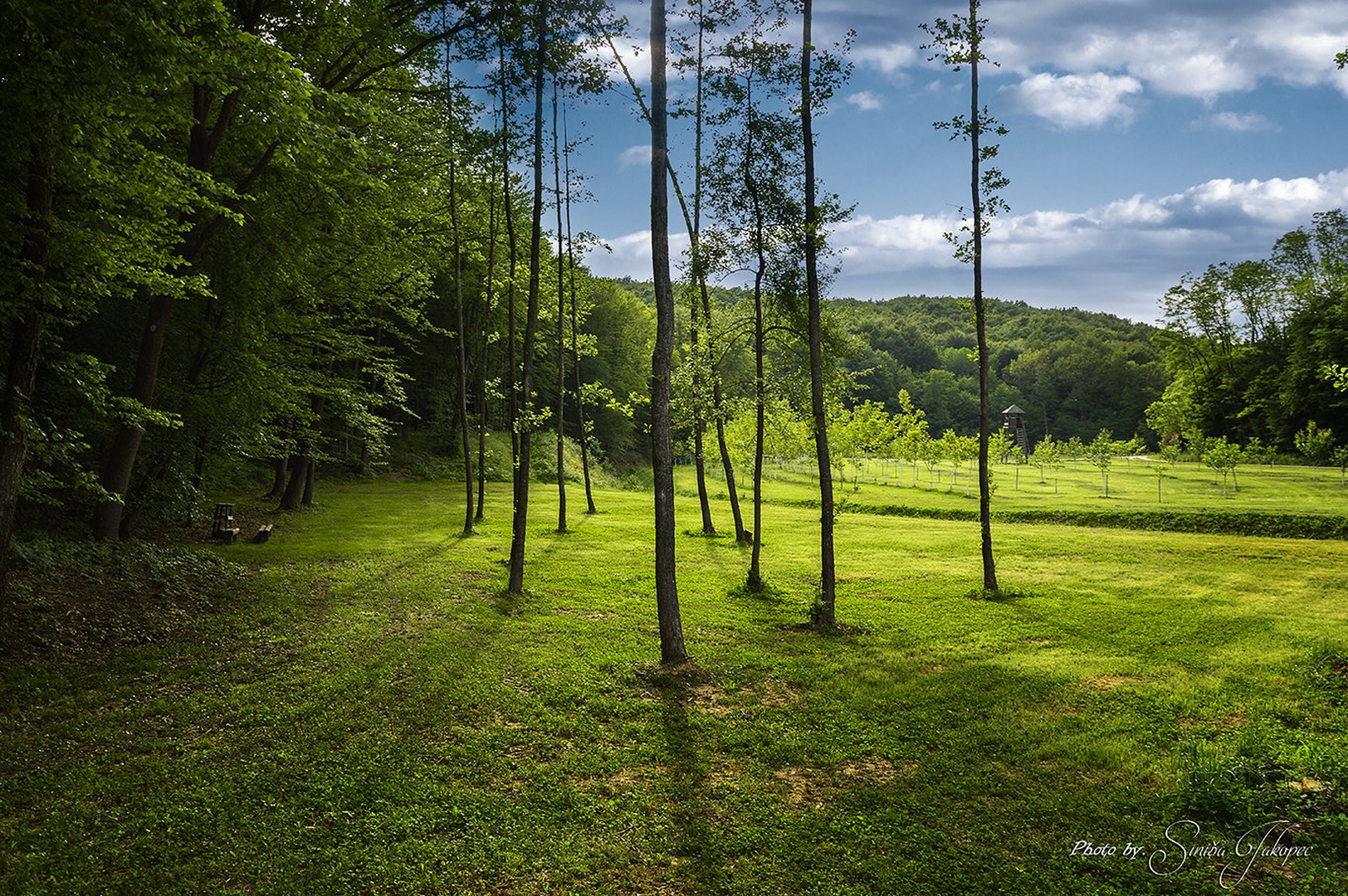 Igra sjena by Siniša Jakopec