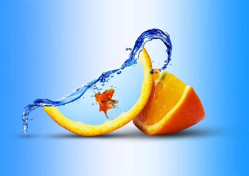 Orange fish by Siniša Jakopec