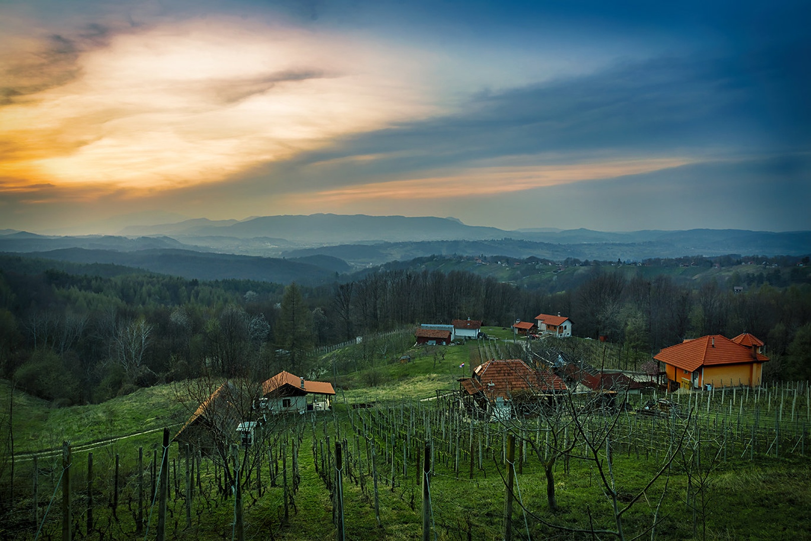Vinograd by Siniša Jakopec