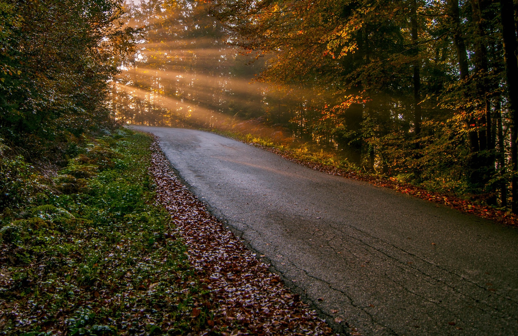 ... by bojan berce