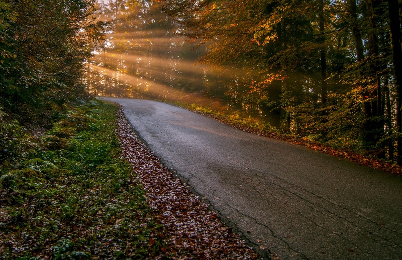 ... by bojan berce