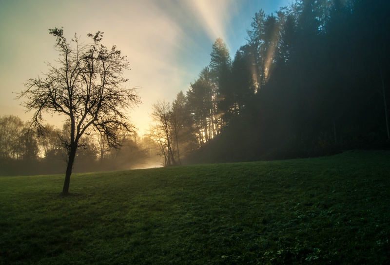 jutro by bojan berce