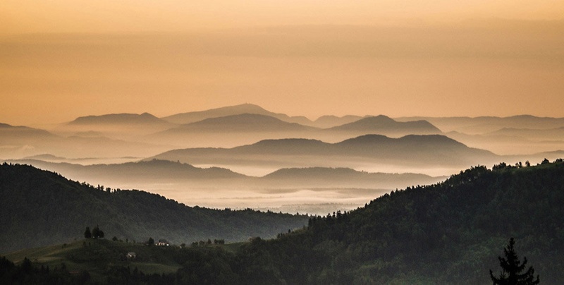 .. by bojan berce