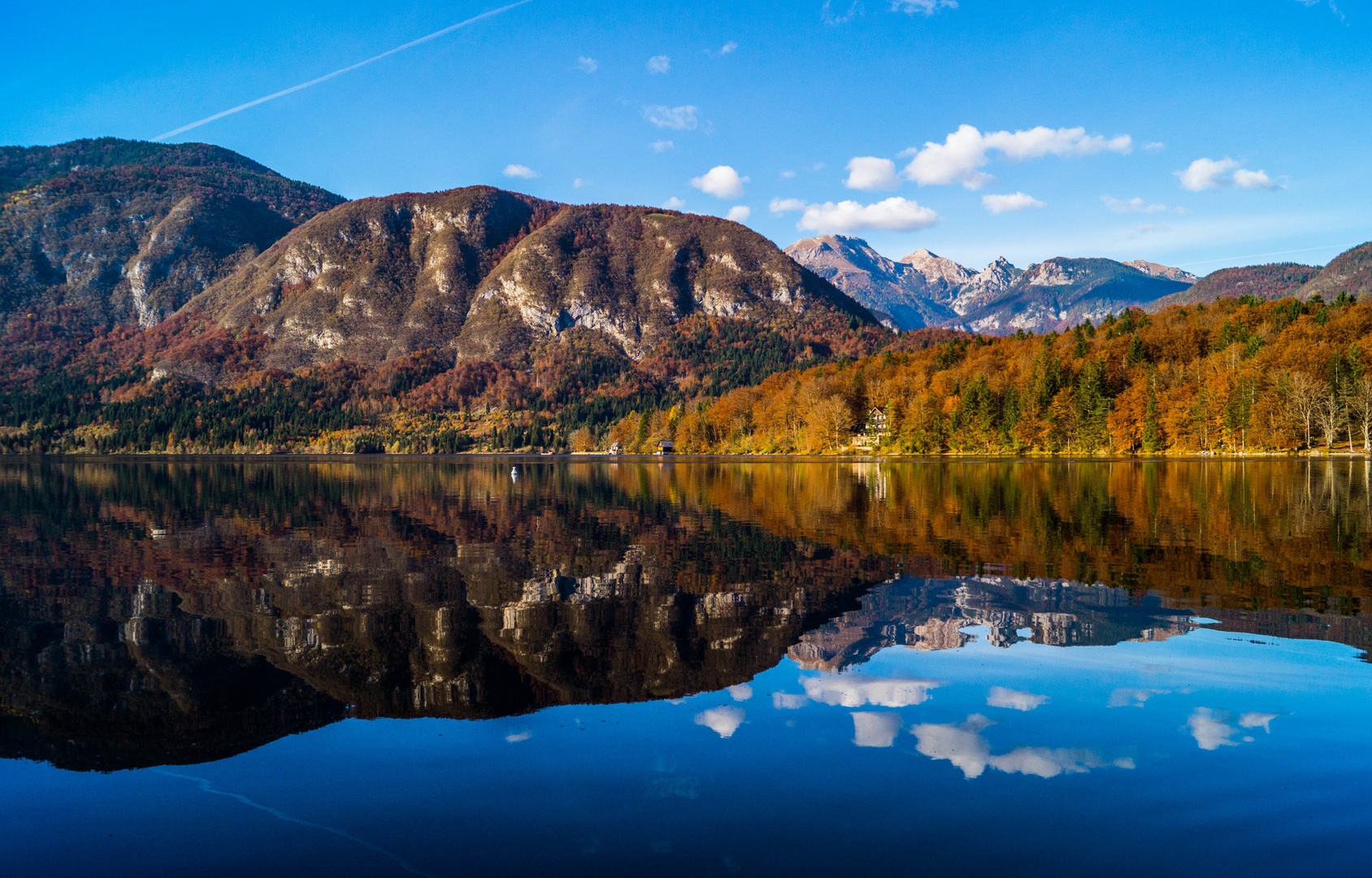 bohinjska... by bojan berce