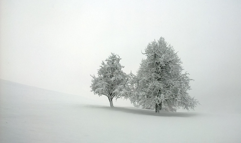 ... by bojan berce