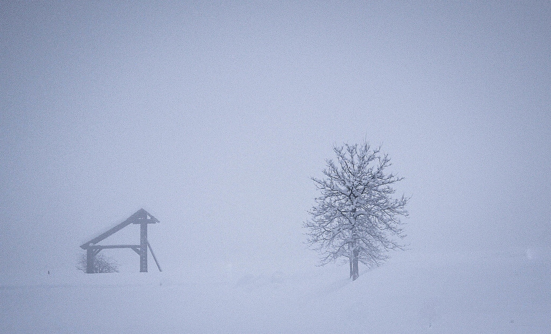 kozolc pa še drevo... by bojan berce