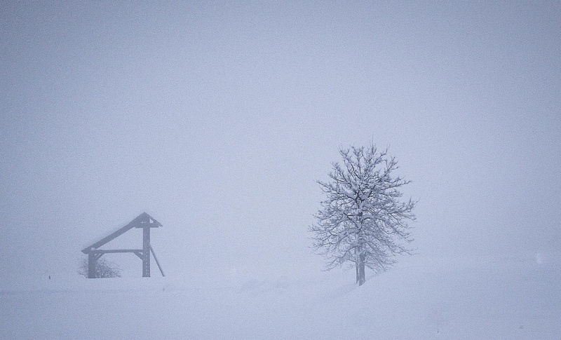 kozolc pa še drevo... by bojan berce