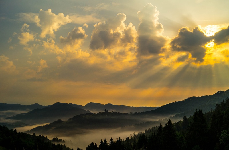 jutro by bojan berce