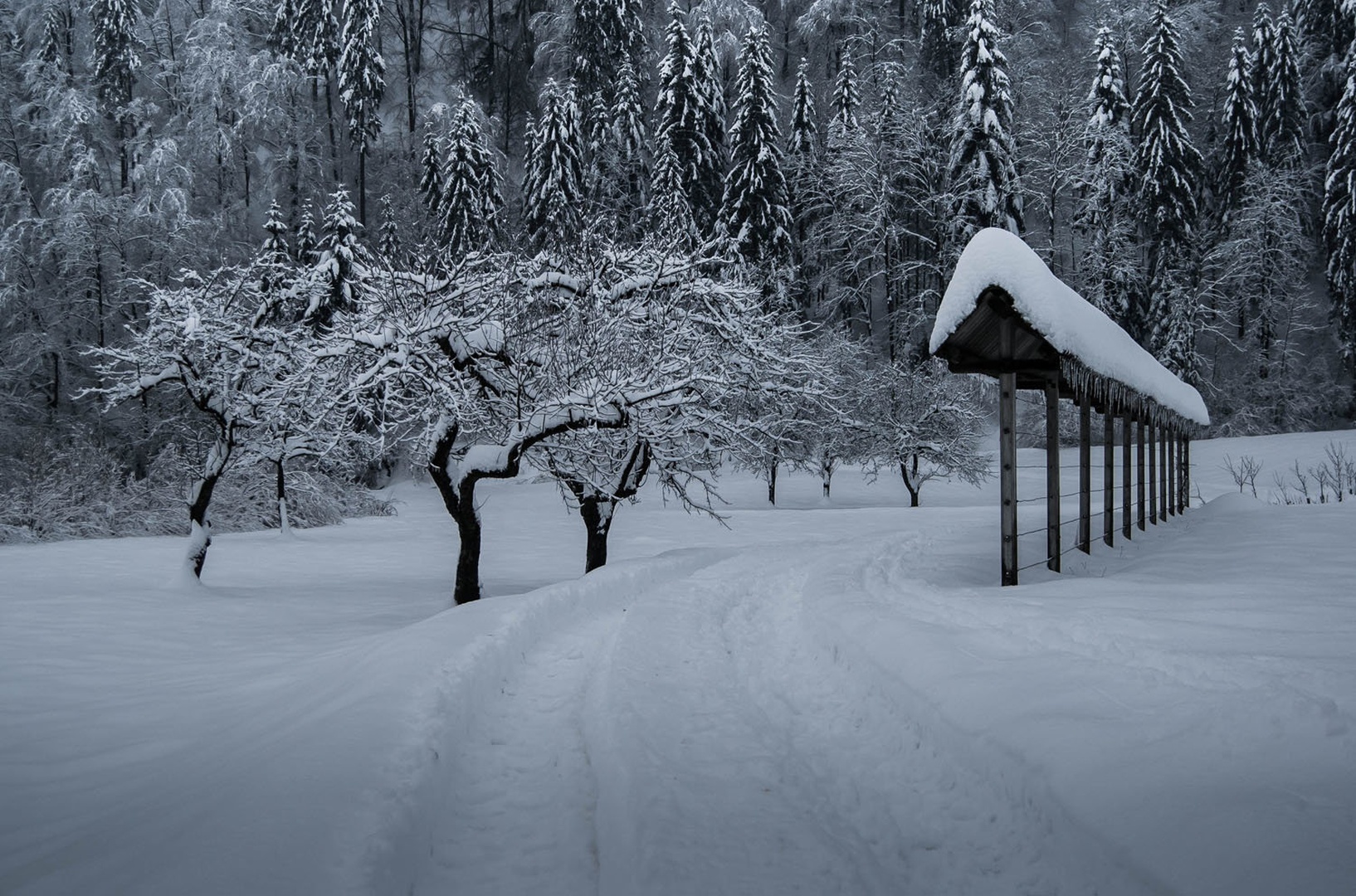 zima.. by bojan berce