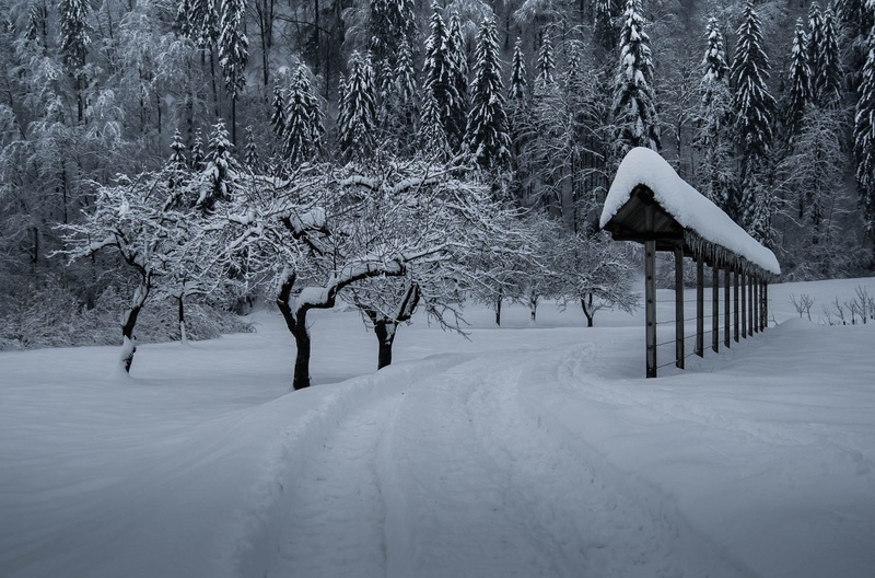 zima.. by bojan berce