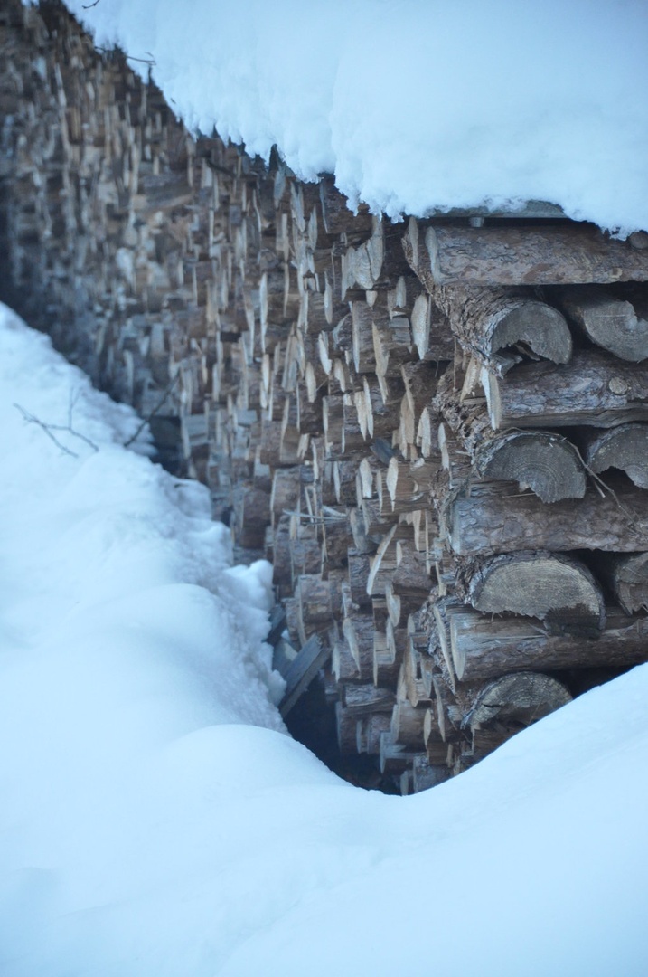 Last winter by Andreja Tratnjek