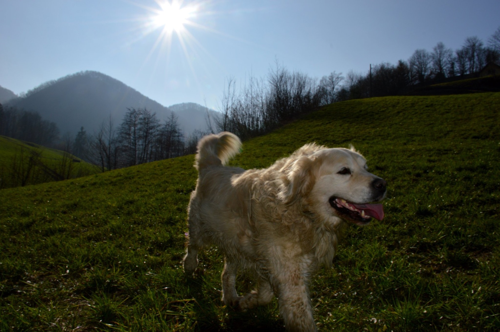 Happy Ben by Rosvita Jager