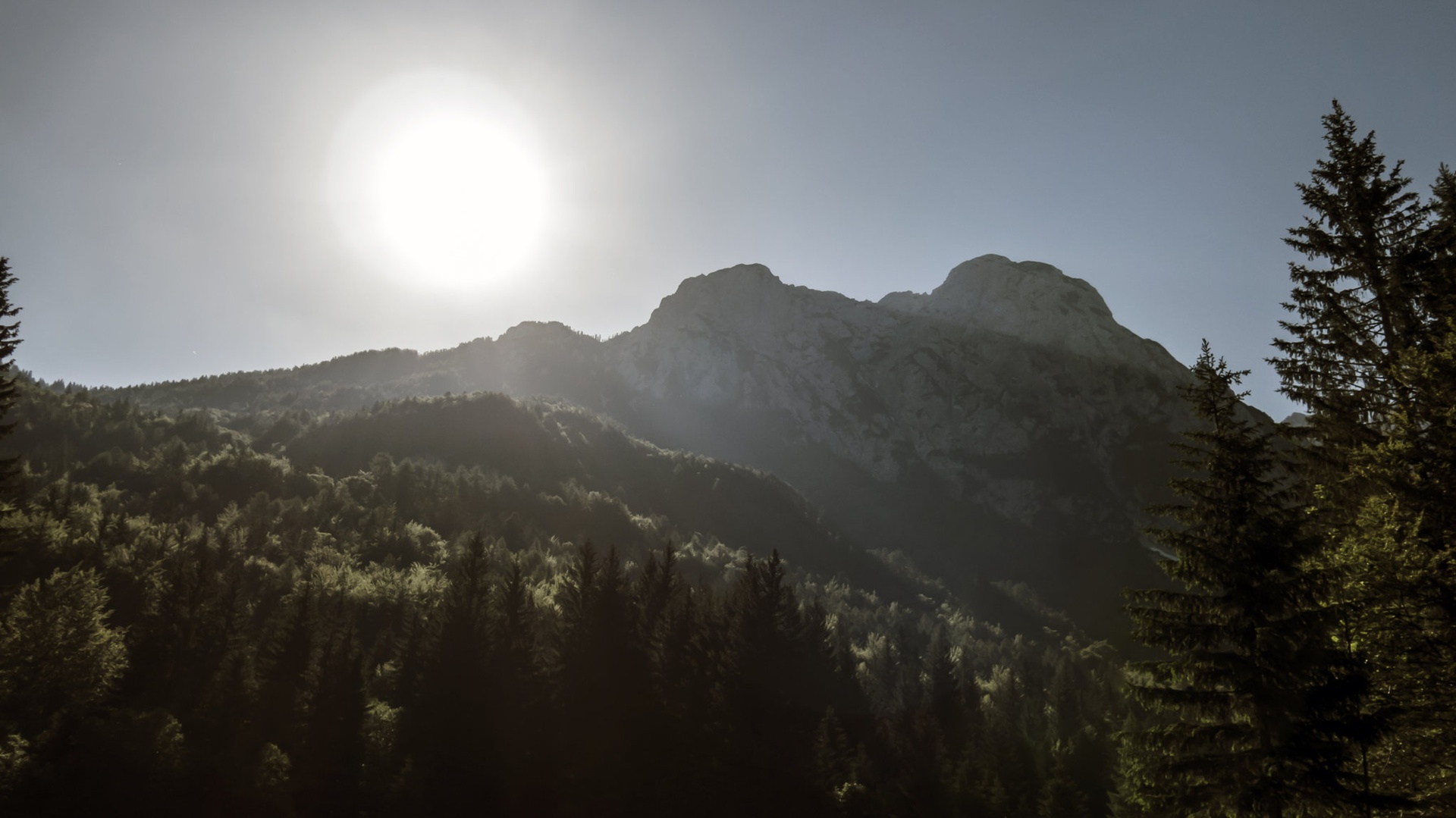 sunshine by Dejan Hudoletnjak