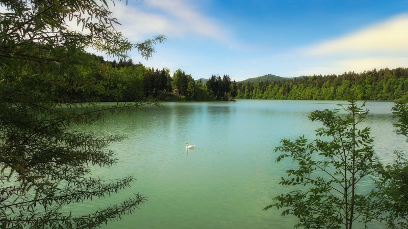 Zbiljsko jezero by Dejan Hudoletnjak